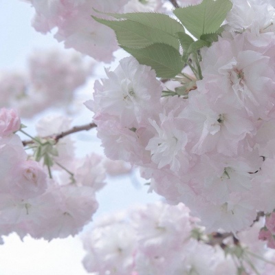 景德镇FurryQQ群介绍